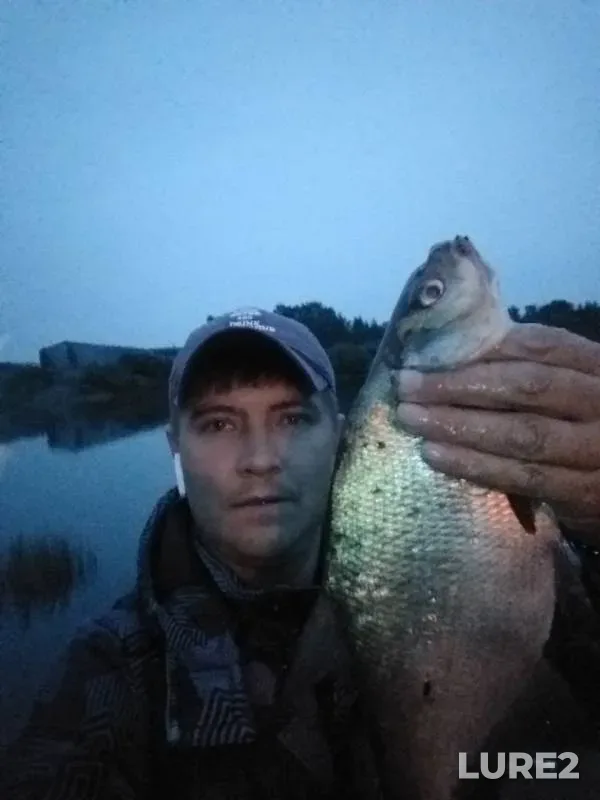 Bream — Sukhona, Jul 06, 2019