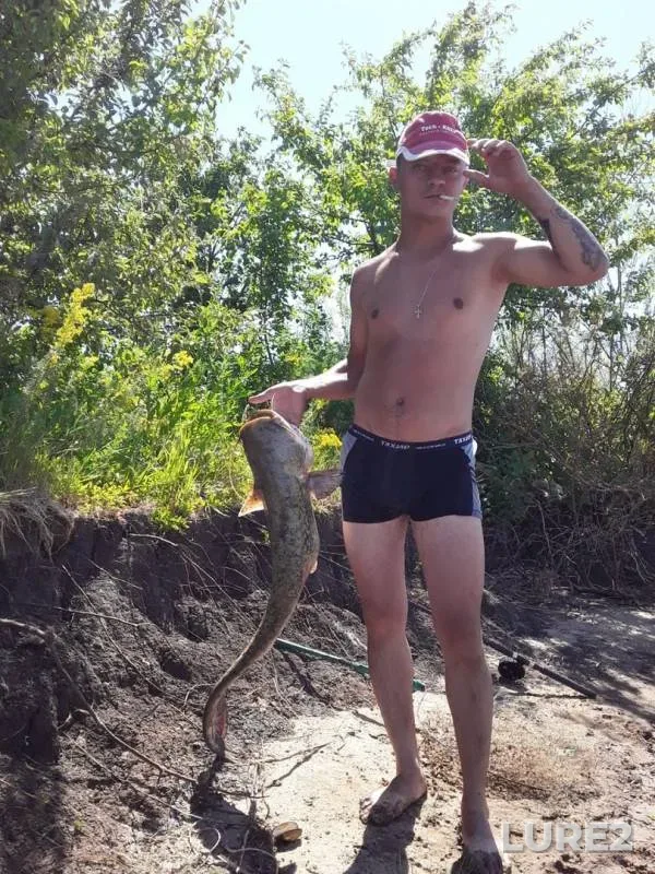 Wels catfish — Saratovskoye, Jun 26, 2019