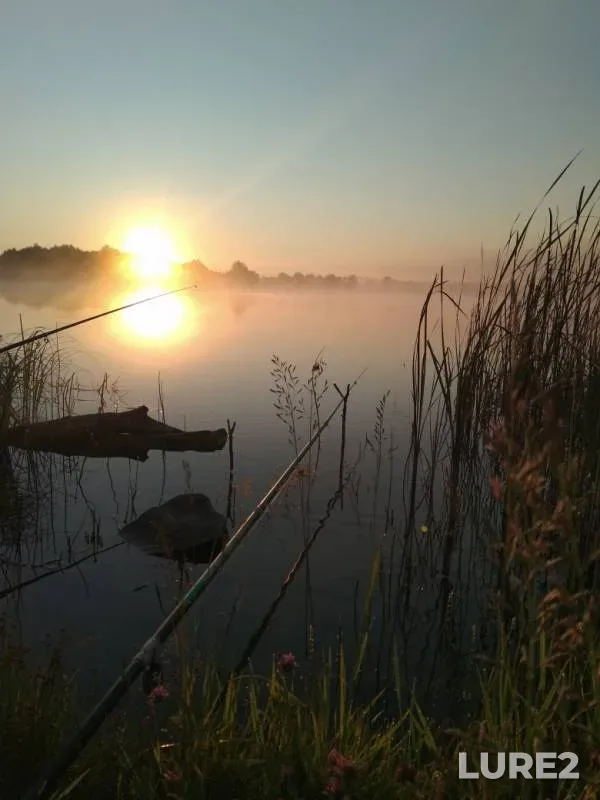 Carp, Roach — Sabinka, Jun 25, 2019