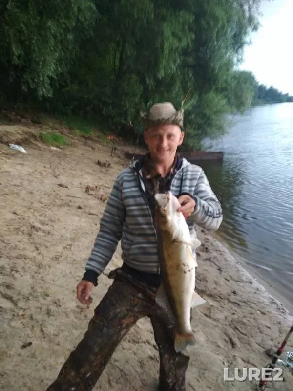 Zander — Dnepr, Jun 24, 2019