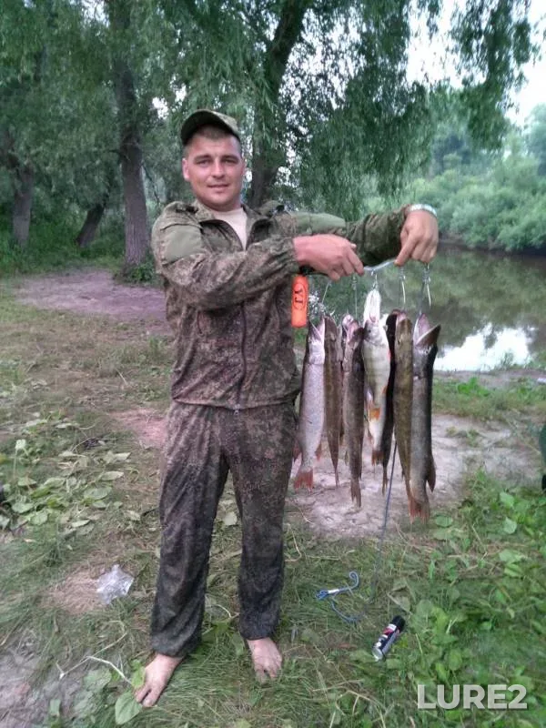 Perch, Pike — Charysh, Jul 29, 2019