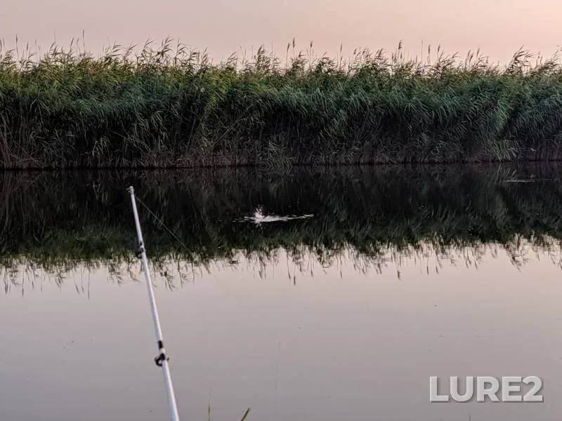 Bream, Crucian carp — Krasnodarskiy kray, Primorsko-Akhtarskiy rayon, Jul 28, 2019
