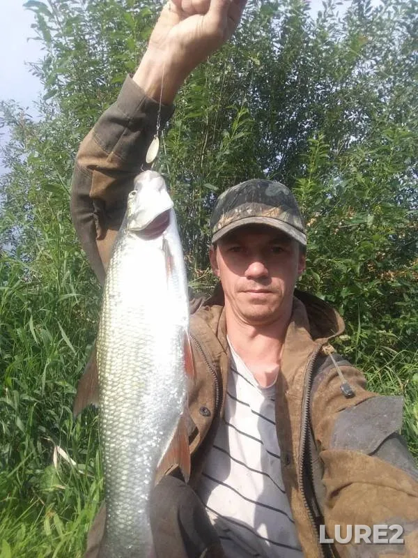Asp — Ugra, Jul 20, 2019