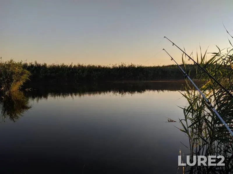 Crucian carp — Krasnodarskiy kray, Primorsko-Akhtarskiy rayon, Jul 20, 2019