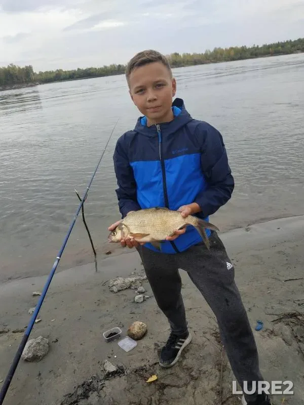 Bream — Ob, Sep 07, 2019