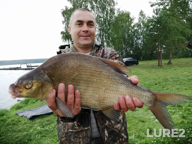 Bream — Beloyarskoye, Aug 16, 2019