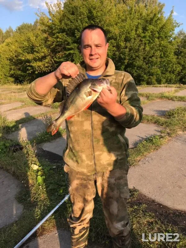 Perch, Pike — Ulyanovskaya oblast, Aug 07, 2019