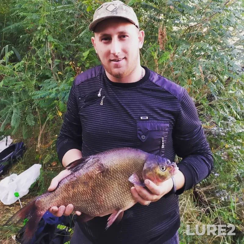 Bream — Dnepr, Sep 08, 2019