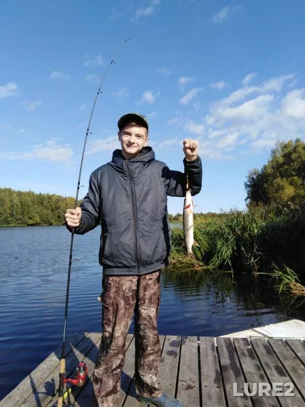 Pike — Tverskaya oblast, Oct 02, 2019