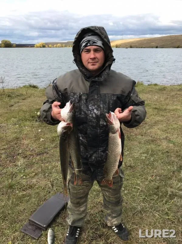 Pike — Maydan, Oct 01, 2019