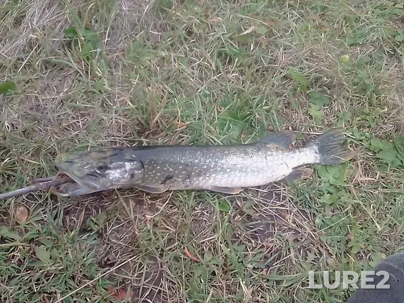 Pike — Iznair, Sep 27, 2019