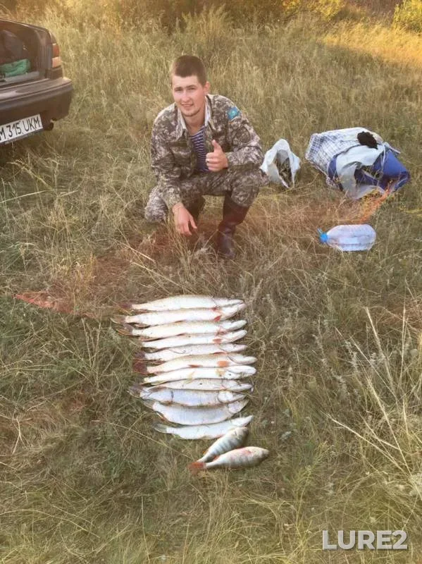 Perch, Pike — Ashchisuyskoye, Sep 18, 2019