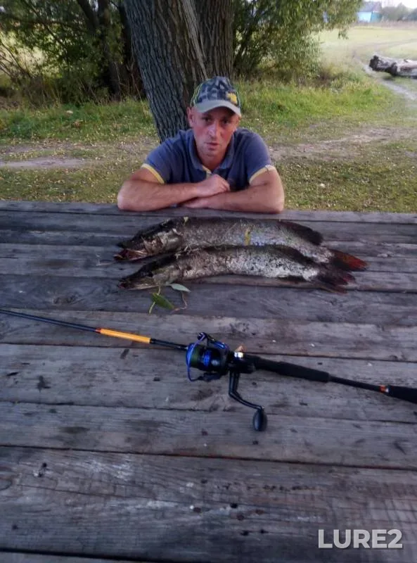 Pike — Malaya Mostya, Sep 14, 2019