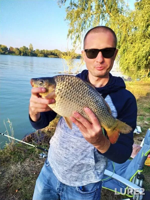 Carp — Bystroye girlo, Oct 21, 2019