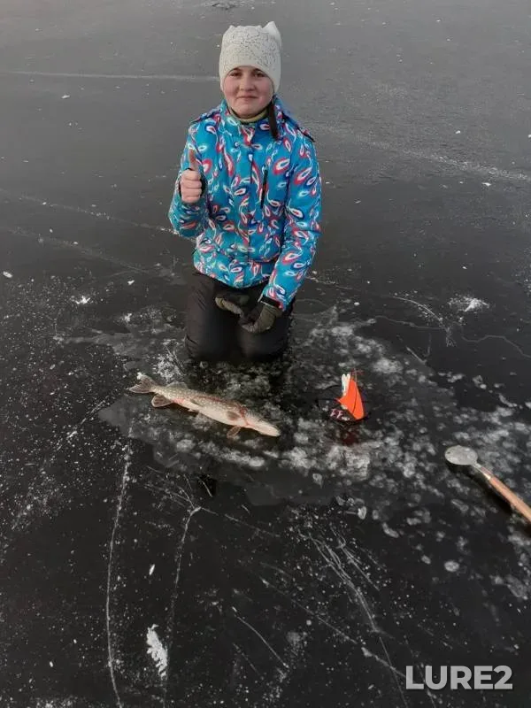 Pike — Karinskoye, Nov 24, 2019