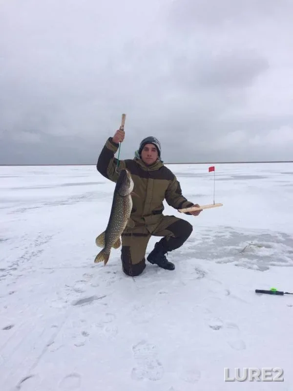 Pike — Gorkiy liman, Jan 12, 2017