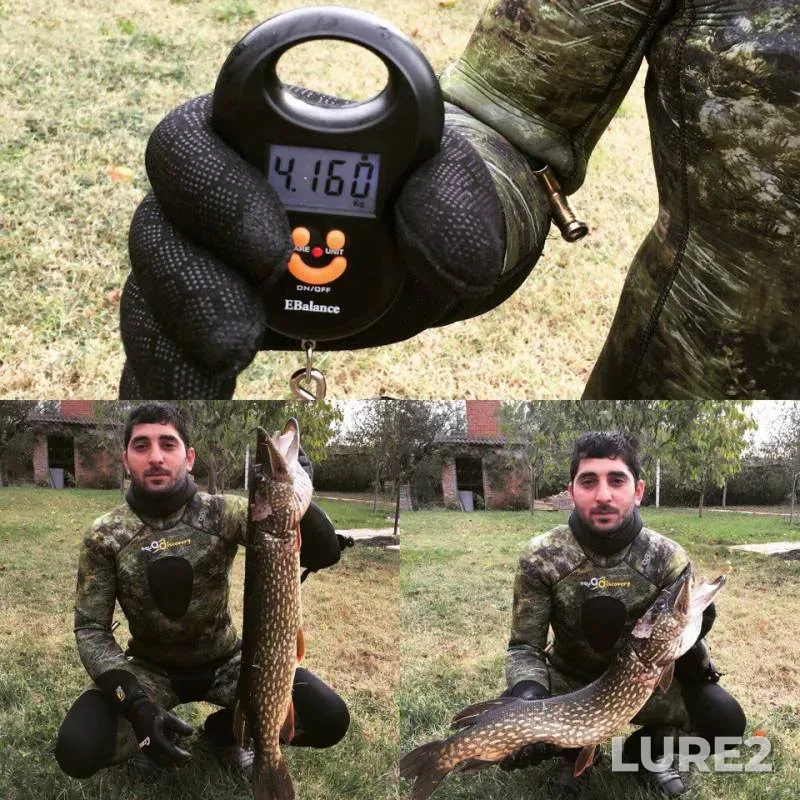 Pike — Kirpili, Nov 18, 2017