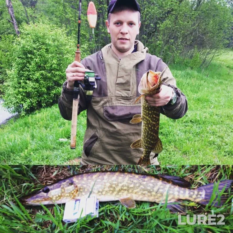 Pike — Luga, Jun 05, 2017