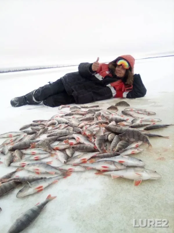 Perch — Pozhva, Nov 30, 2019