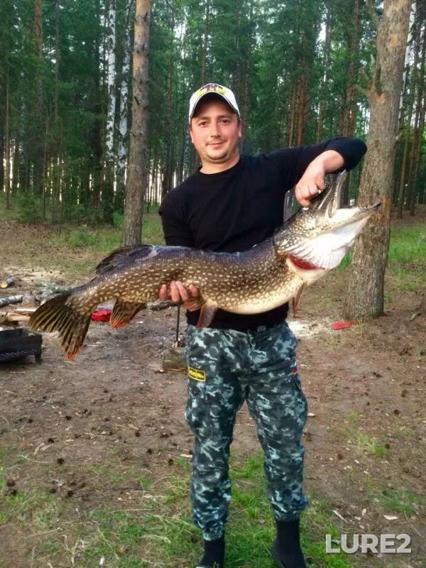 Pike — Rybinskoye, Oct 22, 2016