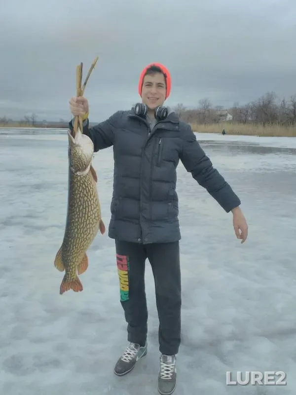 Pike — Kuyalnitskiy liman, Feb 14, 2016