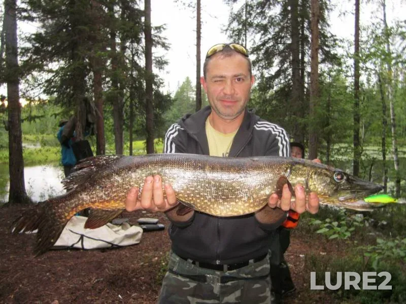 Pike — Tiksheozero, Nov 15, 2015