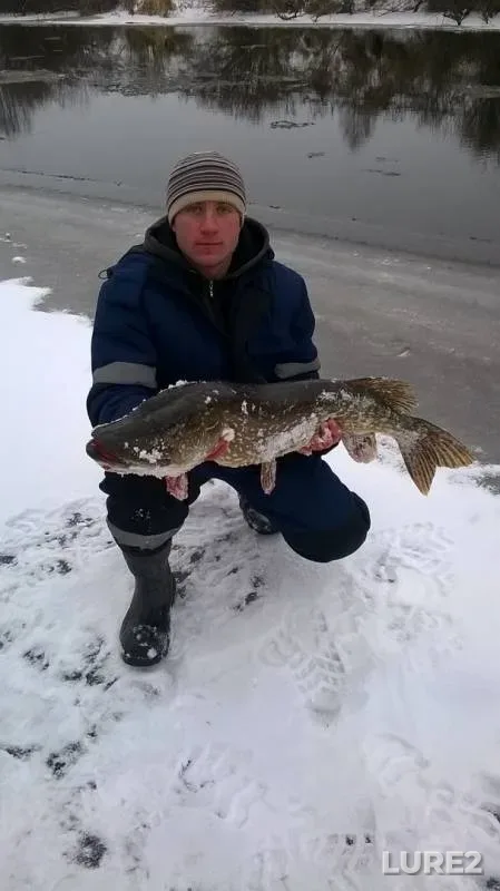 Pike — Ulla, Dec 18, 2016