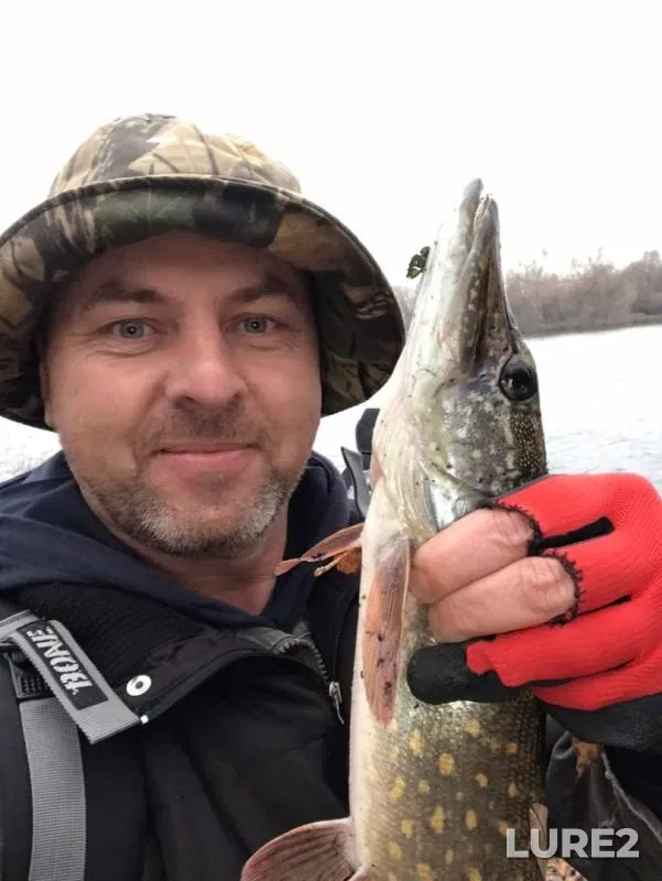 Pike — Moskva, Oct 26, 2019