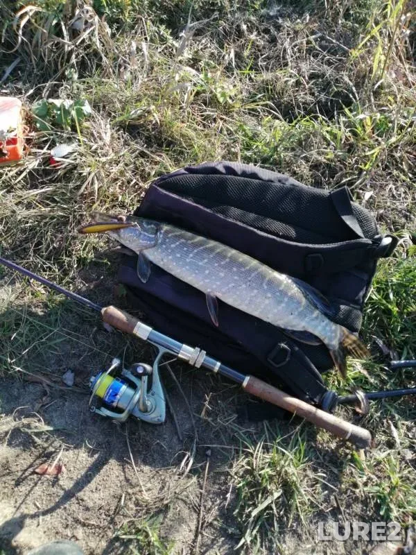 Pike — Atkara, Oct 21, 2019