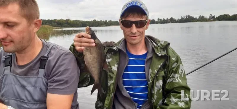 Bream — Vrevo, Nov 03, 2019
