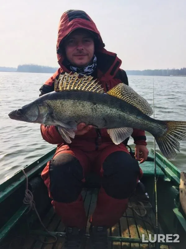 Zander — Nepolot, Oct 29, 2019
