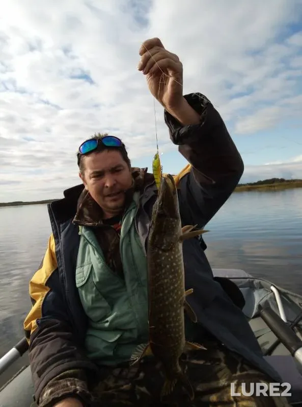 Pike — Kaliningradskaya oblast, Oct 12, 2019