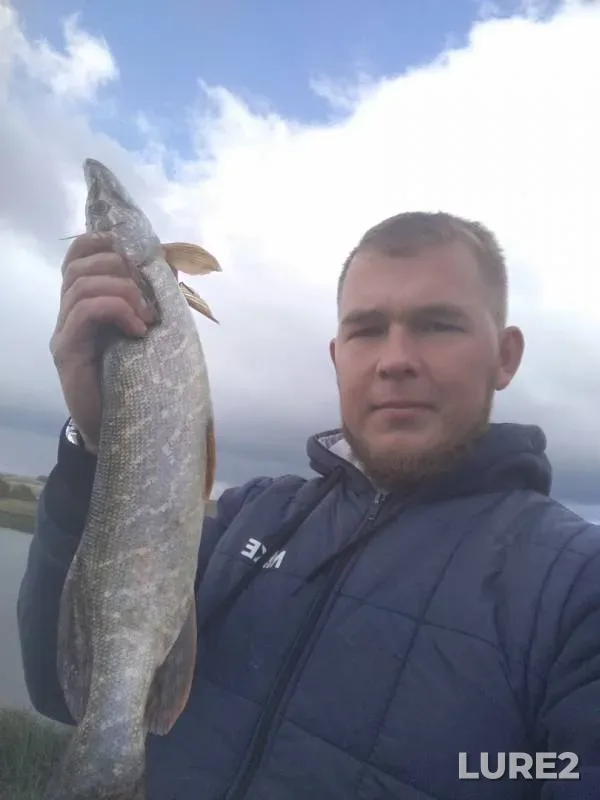 Pike — Dyoma, Sep 28, 2019