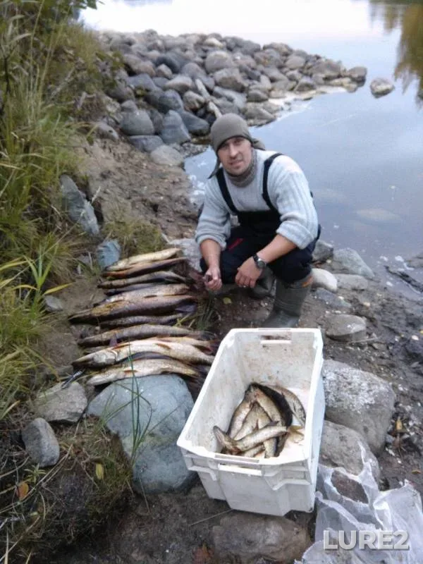 Pike — Krimozero, Sep 27, 2019