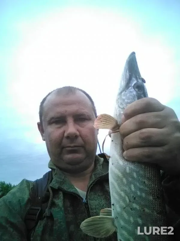 Pike — Malaya Cheremshanka, Jun 15, 2019