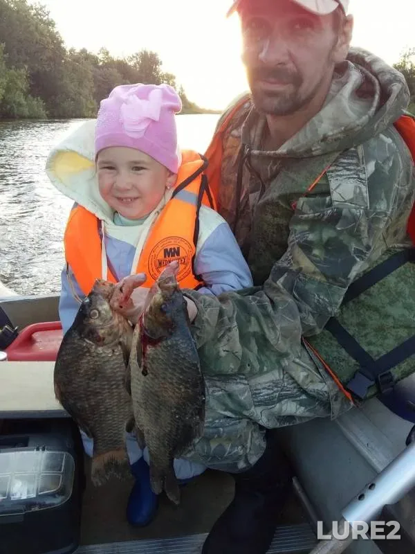 Crucian carp — Staroladozhskiy kanal, Aug 12, 2019