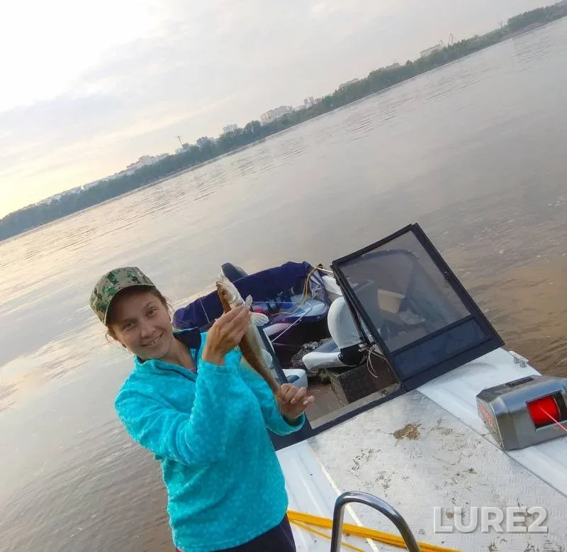 Zander — Kama, Aug 15, 2019