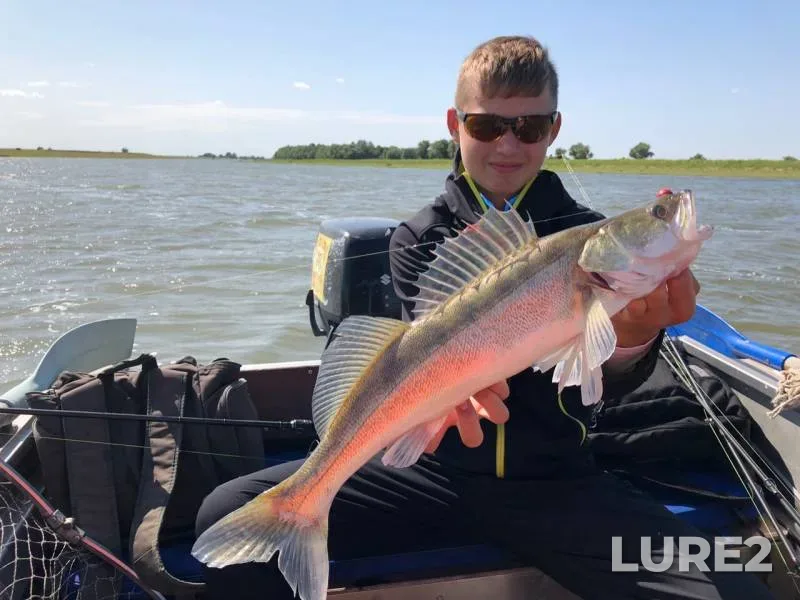 Asp, Zander — Volga, Aug 21, 2019