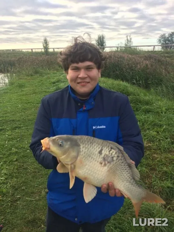 Carp — Ivanovskaya oblast, Aug 25, 2019
