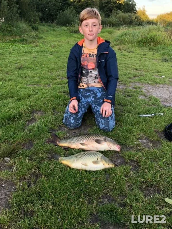 Carp — Moskovskaya oblast, gorodskoy okrug Chekhov, Aug 28, 2019