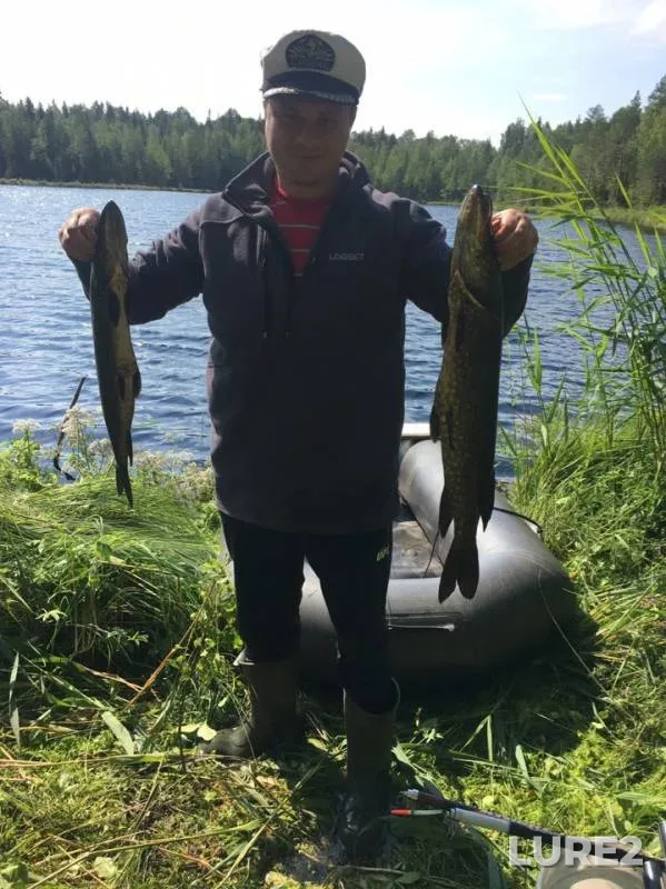 Pike — Vazha, Jul 26, 2019