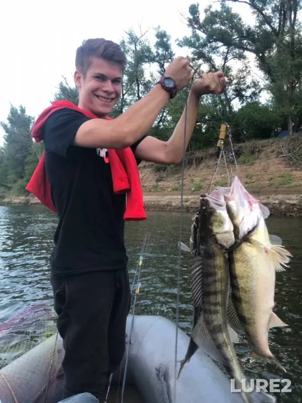 Zander — Vinokurovka, Aug 31, 2019