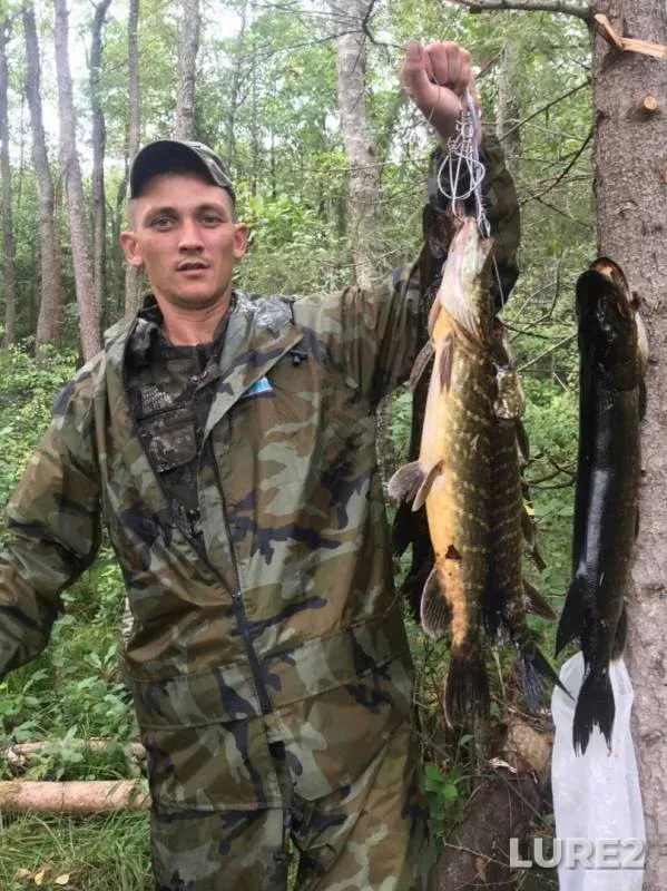 Pike — Zaroyevskoye, Sep 12, 2019