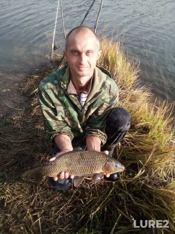 Carp — Krasnoyarskoye, Sep 23, 2019