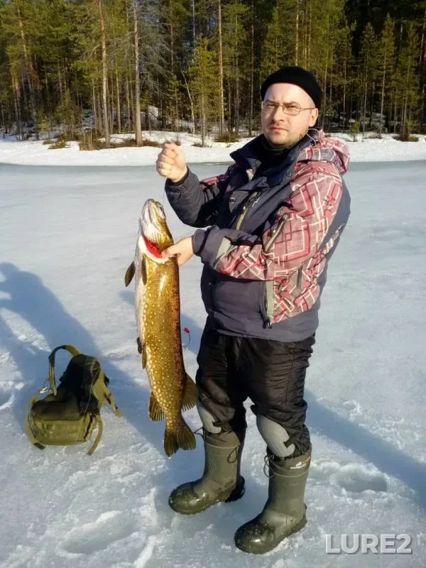 Pike — Murmanskaya oblast, Kandalakshskiy rayon, Apr 22, 2019
