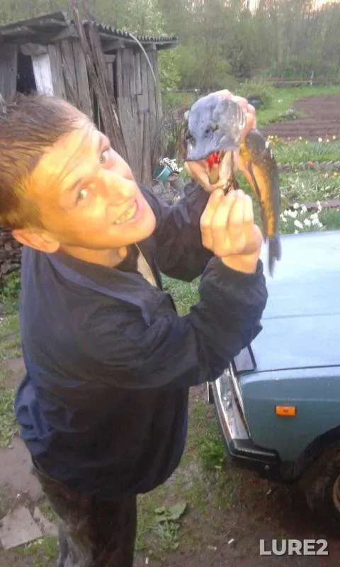 Pike, Roach — Msta, May 09, 2019