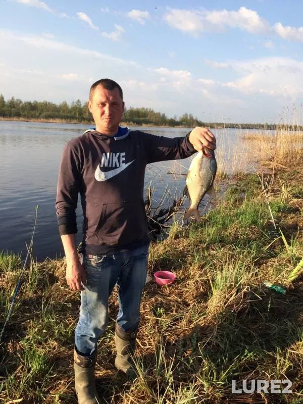 Bream — Korelka, May 15, 2019
