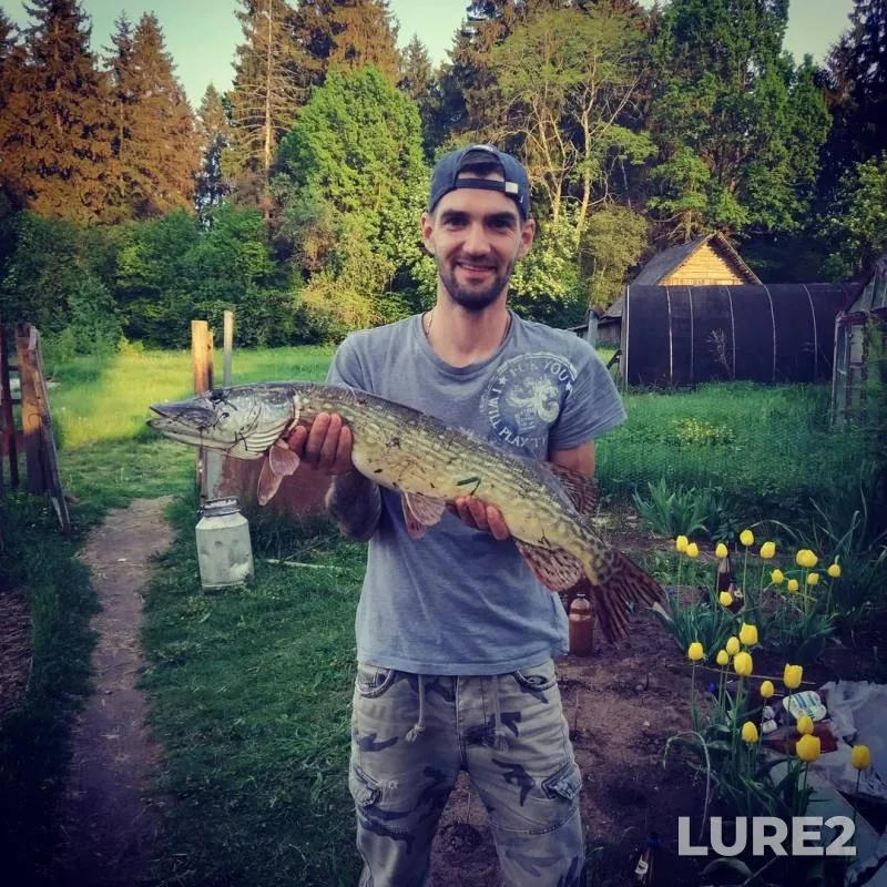 Pike — Velikaya, May 25, 2019