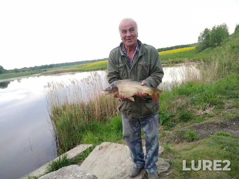 Carp — Yaroslavskaya oblast, May 24, 2019