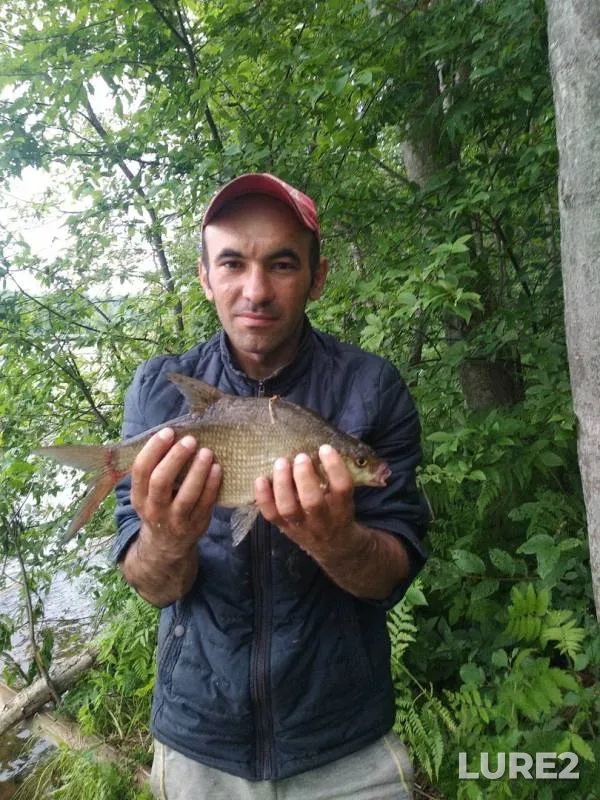 Bream — Uzhin, Jun 09, 2019